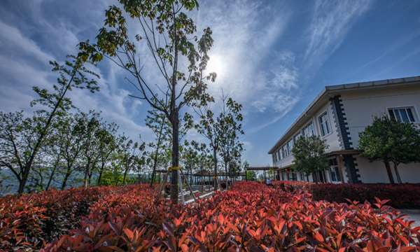 陜西淳化東莊藥用植物園有限公司